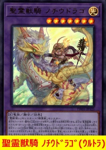 ★遊戯王★　聖霊獣騎 ノチウドラゴ(ウルトラ)