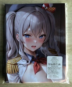 AHM000053 鹿島 艦これ00228 ★抱き枕カバー45*90cm 2way★ タオル ポスター タペストリー メール便可