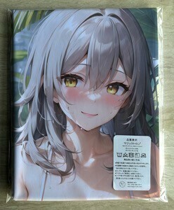 AHM000171 崩壊スターレイル ★抱き枕カバー45*90cm 2way★ タオル ポスター タペストリー メール便可