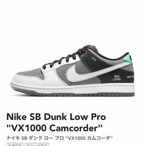 Nike SB Dunk Low Pro