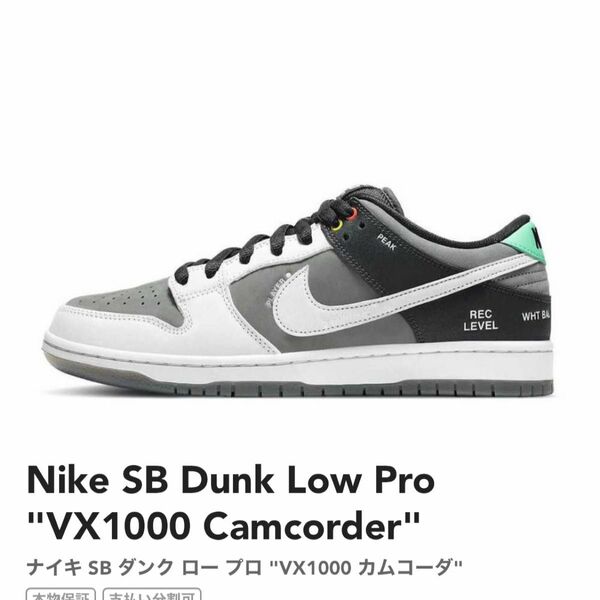 Nike SB Dunk Low Pro"VX1000 Camcorder"
