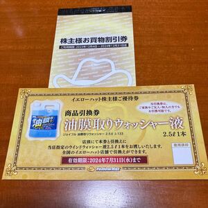 イエローハット優待　 買い物割引券３００円×10枚　3000円 2024年12月31日迄 油膜取りウォッシャー液　引換券1枚 2024年７月31日迄