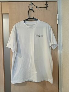 Patagonia　 Tシャツ ホワイト 半袖Tシャツ