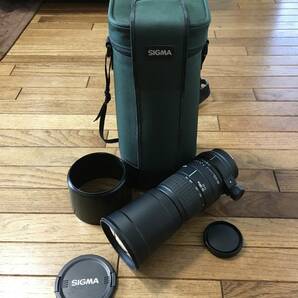 【動作確認済】シグマ SIGMA 170-500mm APO 一眼カメラ用 望遠レンズ 付属品あり forソニーの画像1