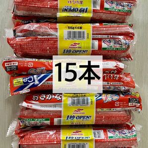 おさかなソーセージ 15本(55gx15) 大きいサイズ 魚肉ソーセージ フィッシュソーセージ カルシウム おやつ おつまみ 弁当