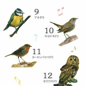 限定１０個展示品 野鳥 電波自動受信 掛け時計 大型 レトロ 壁掛け時計電波自動受信 野鳥の電波時計 安眠機能 日本標準の画像9