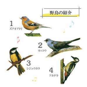 限定１０個展示品 野鳥 電波自動受信 掛け時計 大型 レトロ 壁掛け時計電波自動受信 野鳥の電波時計 安眠機能 日本標準の画像7