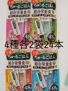 大盛ちゅーるごはん2種各2袋24本