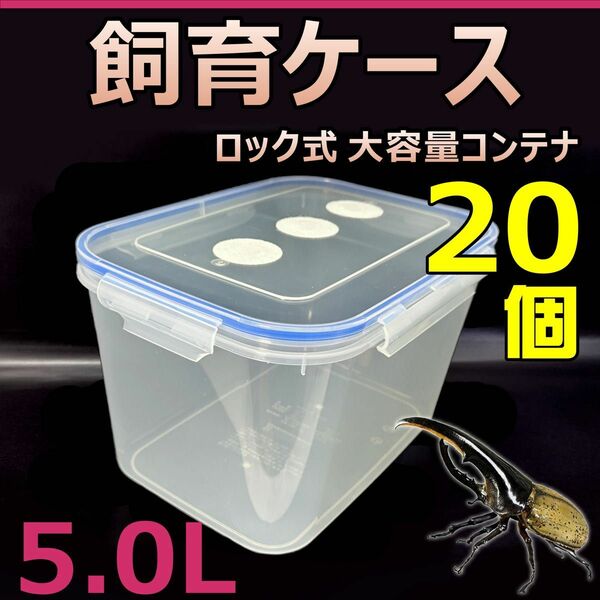 飼育ケース　ロック式　大容量コンテナ　5.0L　新品　20個　おまけ付　国産 外国産カブトムシ 幼虫飼育に最適　成虫一時管理にも