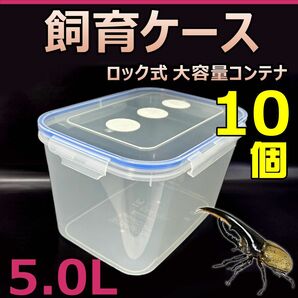 飼育ケース　ロック式　大容量コンテナ　5.0L　新品　10個　おまけ付　国産 外国産カブトムシ 幼虫飼育に最適　成虫一時管理にも