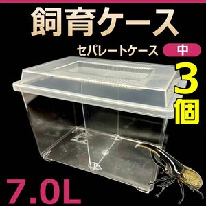 飼育ケース　セパレートケース　中　7.0L　新品　3個　カブトムシ・クワガタ 成虫飼育に最適　コバエ抑制