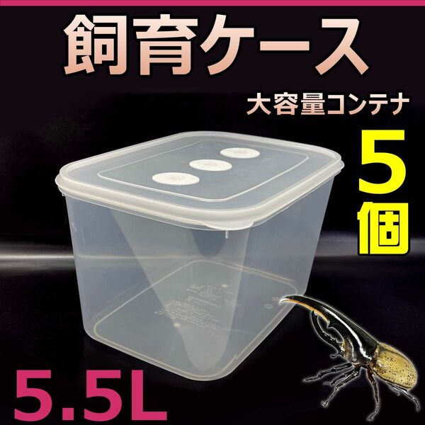 飼育ケース　大容量コンテナ　5.5L　新品　5個　おまけ付　幼虫飼育に最適！　タイベストシール予備付　飼育管理ラベル付