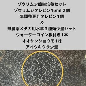 ゾウリムシ簡単培養セット　＆　無農薬メダカ用水草3種類少量セット