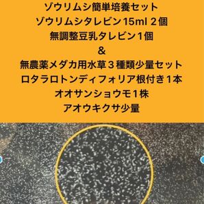 ゾウリムシ簡単培養セット　ゾウリムシタレビン15ml 2個＋無調整豆乳タレビン1個＆無農薬メダカ用水草3種類少量セット