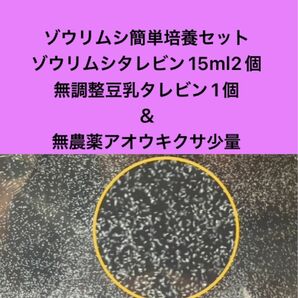 ゾウリムシ簡単培養セット　ゾウリムシタレビン15ml 2個＋無調整豆乳タレビン1個＋無農薬アオウキクサ少量