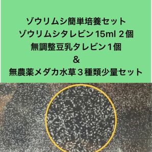 ゾウリムシ簡単培養セット　ゾウリムシタレビン15ml2個＋無調整豆乳タレビン1個＋無農薬メダカ用水草3種類少量セット