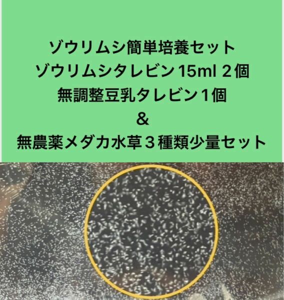 ゾウリムシ簡単培養セット　ゾウリムシタレビン15ml 2個＋無調整豆乳タレビン1個＋無農薬メダカ用浮き草3種類少量セット