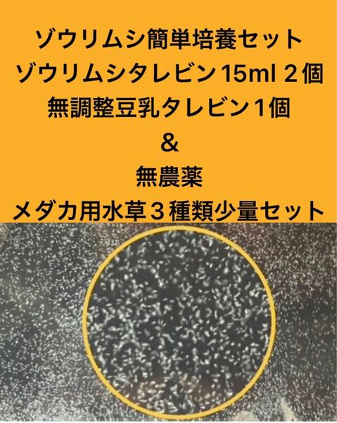 ゾウリムシ簡単培養セット　ゾウリムシタレビン15ml 2個＋無調整豆乳タレビン1個＆無農薬メダカ用水草3種類少量セット