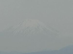 【相互評価最速5分】 曇りの日の富士山　(横浜で撮影) 相互評価　評価回復　入札制限、評価制限なし