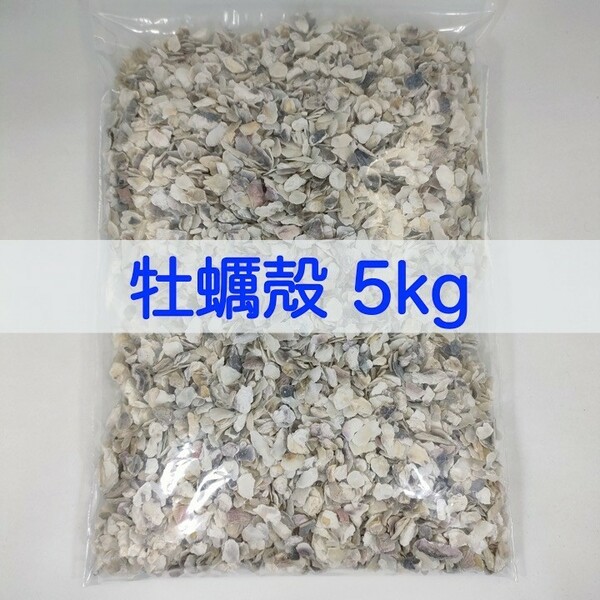 【送料無料】アクアリウム用 牡蠣殻チップ5kg pH改善 水質改善 カキ殻 かきがら ろ材