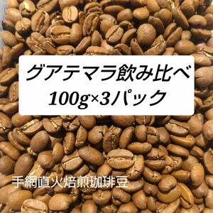 手網直火焙煎珈琲豆グアテマラ100g×3パック