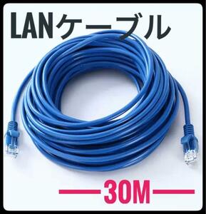 LANケーブル　30m　CAT5e 青　ブルー　事務所　テナント　自宅　オンラインゲーム　インタネット　接続　有線　長い　ケーブル