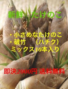 石川県産　小さめな筍と破竹（ハチク）10本入り　