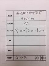 HARVARD UNIVERSITY ハーバードユニバーシティー アメカジ トラッド ボタンダウン 胸ポケット 長袖チェックシャツ メンズ 大きめサイズXL_画像5