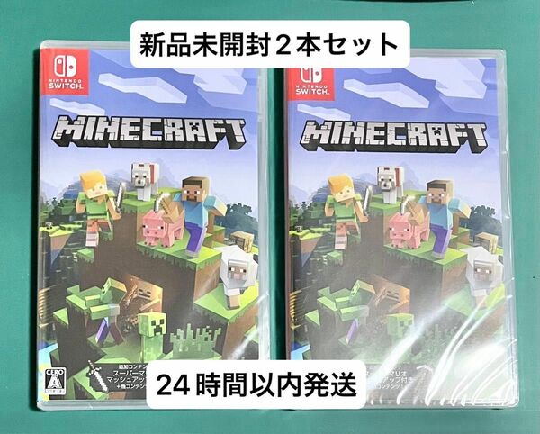 Minecraft Switch ソフト 2本セット