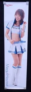 ! poster 250 life-size poster girl zpala dice appendix race queen ....!GALS PARADISE