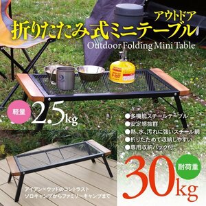 アウトドア 折りたたみ式ミニテーブル 専用袋付属 スチールテーブル 軽量 耐荷重30kg