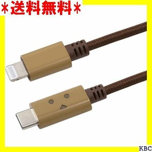 cheero DANBOARD USB-C Cable 速充電 iPhone/iPad/iPod CHE-272 119