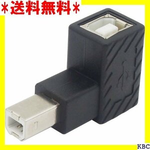 オーディオファン USB変換コネクタ USB2.0 L USB-B オス - USB-B メス 変換 アダプター 220