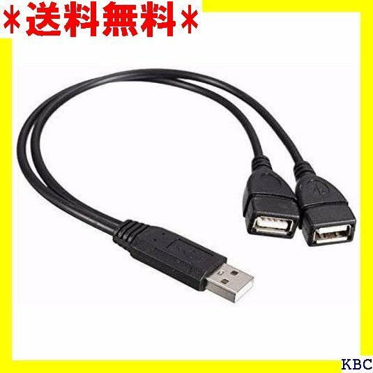 AGG USB 2.0 二股ケーブル、30cm USB A オス - メスx 2 Y字2分岐ケーブル C19M2 239