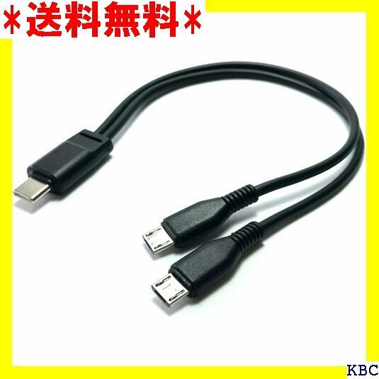 Access E Direct 20cm タイプC ブル + マイクロファイバークロス付き USB61-2M 311