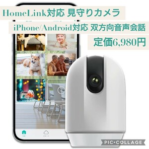  new goods *HomeLink correspondence link Japan eCamera2 crime prevention see protection camera interactive sound conversation video recording function pet baby monitor smartphone correspondence operation perception 