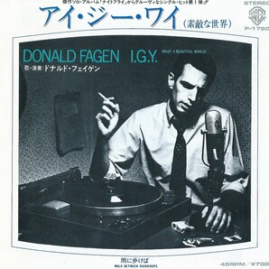 I.G.Y. ／ ドナルド・フェイゲン 【日本盤7inchシングル】→ややレア・アナログ盤 EPの画像1