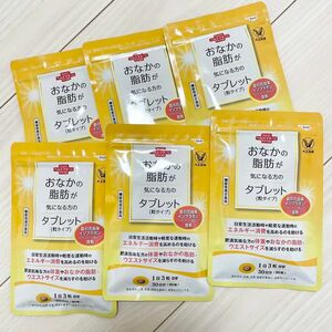 【1袋あたり2,400円】大正製薬 おなかの脂肪が気になる方のタブレット 粒タイプ