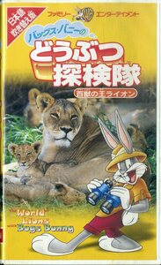 H00021974/【ドキュメンタリー】VHSビデオ/森尾由美 (ナレーション)「バックスバニーのどうぶつ探検隊 百獣の王ライオン」