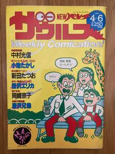 NEWパンチザウルス 1989年4月6日号 桜沢エリカ いしかわじゅん