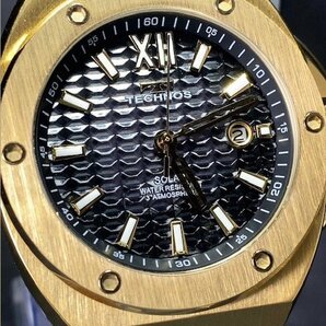新品 テクノス TECHNOS 正規品 腕時計 アナログ腕時計 ソーラー ステンレス 3気圧防水 カレンダー ゴールド ブラック メンズ プレゼントの画像1