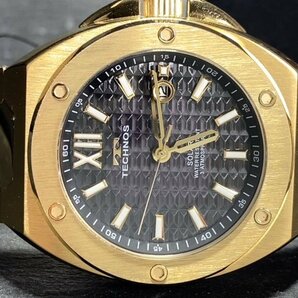 新品 テクノス TECHNOS 正規品 腕時計 アナログ腕時計 ソーラー ステンレス 3気圧防水 カレンダー ゴールド ブラック メンズ プレゼントの画像6