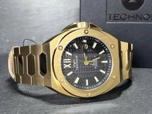 新品 テクノス TECHNOS 正規品 腕時計 アナログ腕時計 ソーラー ステンレス 3気圧防水 カレンダー ゴールド ブラック メンズ プレゼント_画像7