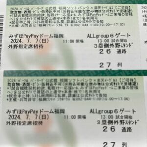 7/7(日)ペアチケット福岡ソフトバンクホークスvs楽天イーグルス外野指定席 通路側2連番 福岡PayPayドーム ペイペイドーム