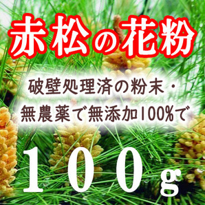 破壁松花粉 赤松花粉 松の花粉 松花粉 100g 松の葉茶 松葉ジュース まつのかふん 花粉