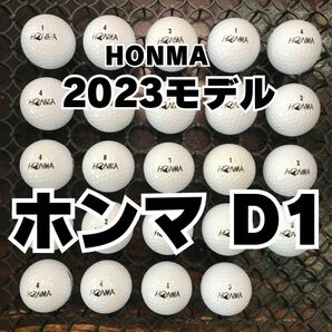 14 2023モデル ホンマD1 ロストボール24球
