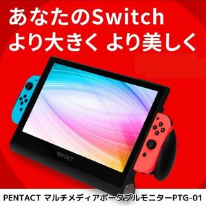 【中古美品】PENTACT マルチメディアポータブルモニター PTG-01