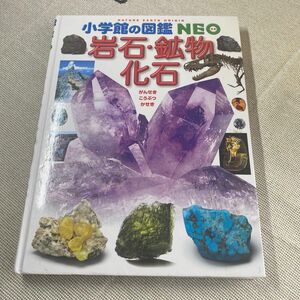 小学館の図鑑NEO 岩石・鉱物・化石