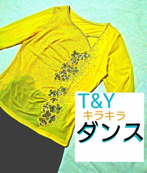 T&Y キラキラ ダンスウェア フラワー 刺繍 ビジュー ラインストーン シアー ステージ 衣装 カラオケ 歌謡 社交 カットソー