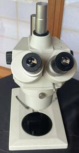  carton optics real body microscope 